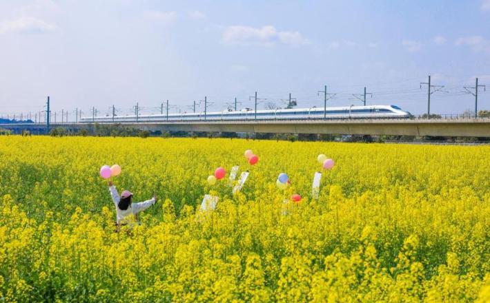 Polja oljne repice, turist in hitri vlak, mesto Luzhou 26. 2. 2026. (Vir: Mu Ke/Xinhua) Polja oljne repice, turist in hitri vlak, mesto Luzhou 26. 2. 2026. (Vir: Mu Ke/Xinhua)