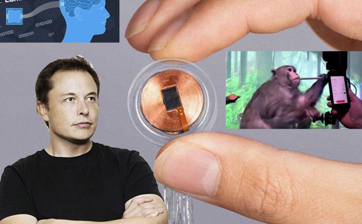 Musk in Neuralink Vir: Twitter