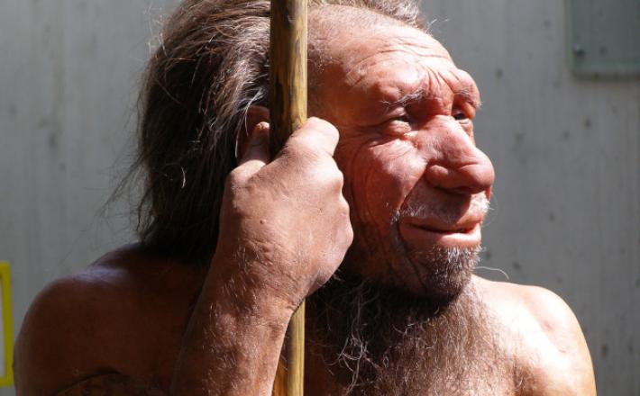 Neandertalec