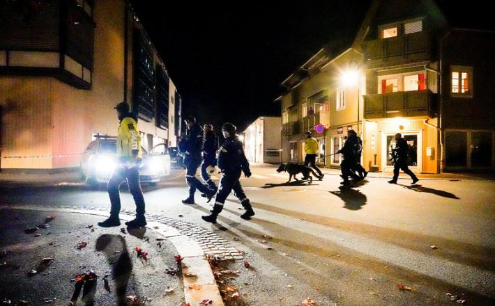 Norveška policija Vir: RT, Twitter