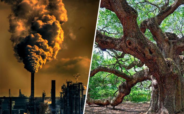 Onesnaževanje in okolje