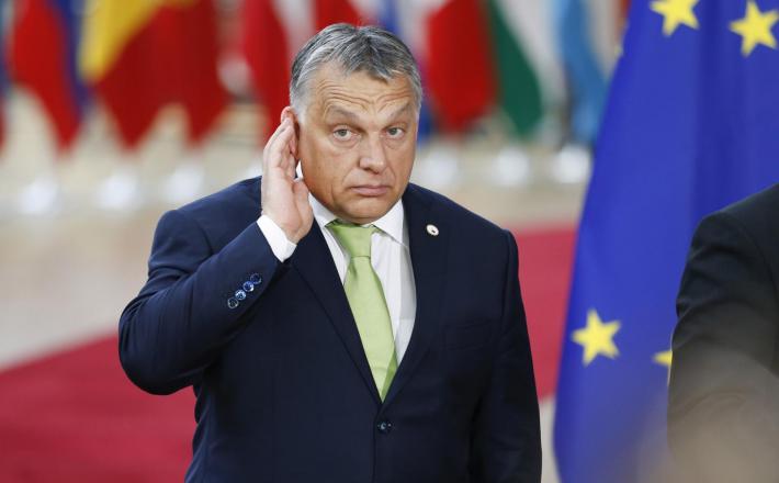 Viktor Orban "posluša"     Vir:Pixell