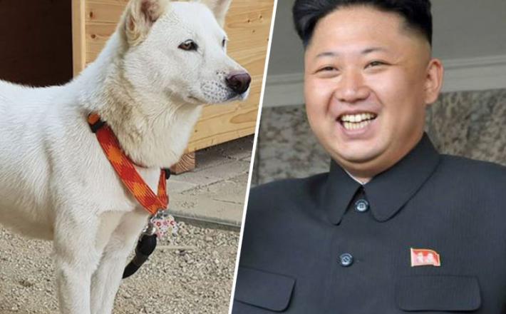Kim Jong-un in severnokorejski pes
