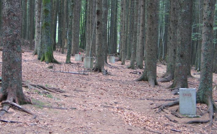 Pohorski bataljon - prizorišče spopada