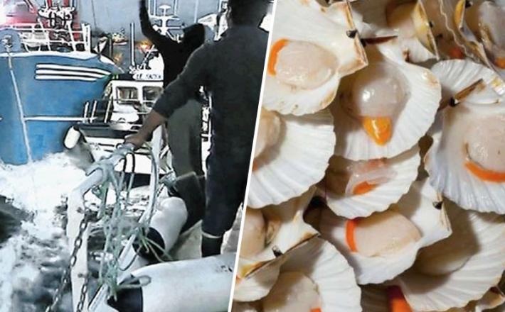 Ribiški spor - pokrovače