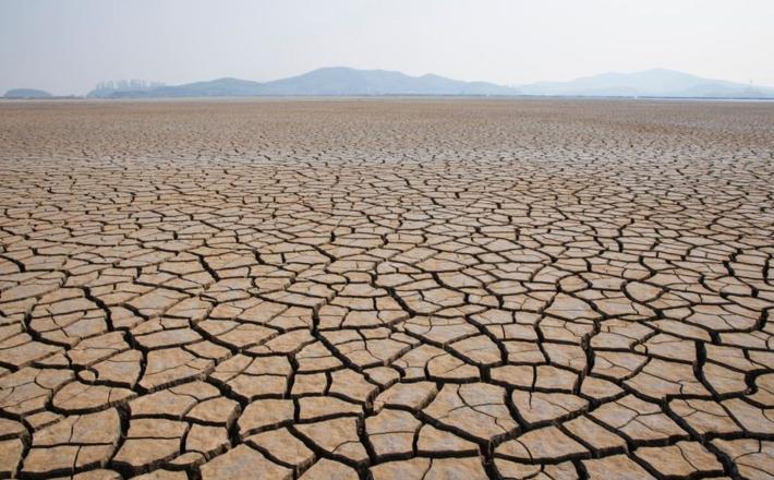 Suša: realnost držav v Zalivu... Vir: X, posnetek zaslona Suša: realnost držav v Zalivu...Vir:X