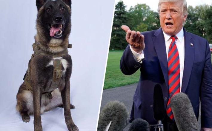 Donald Trump in herojski pes