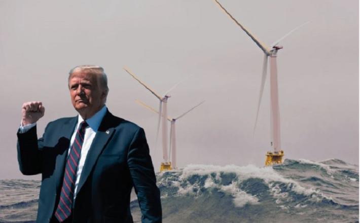 Trump je proti vetrnim elektrarnam Vir: nysfocus.com, X