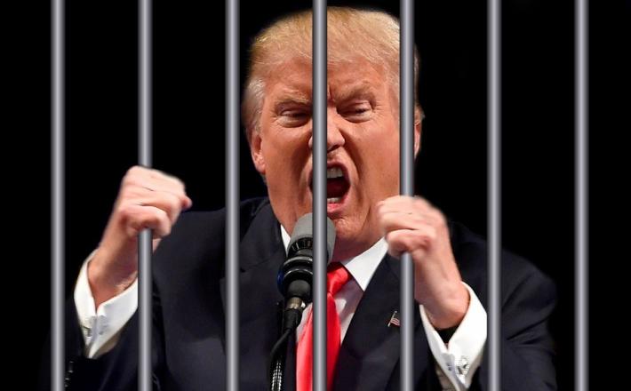 Donald Trump za rešetkami    Vir: https://malialitman.com