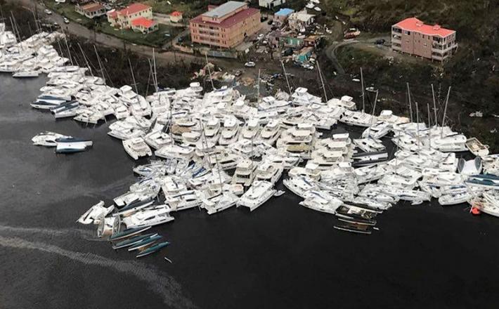 Vihar Irma, Florida