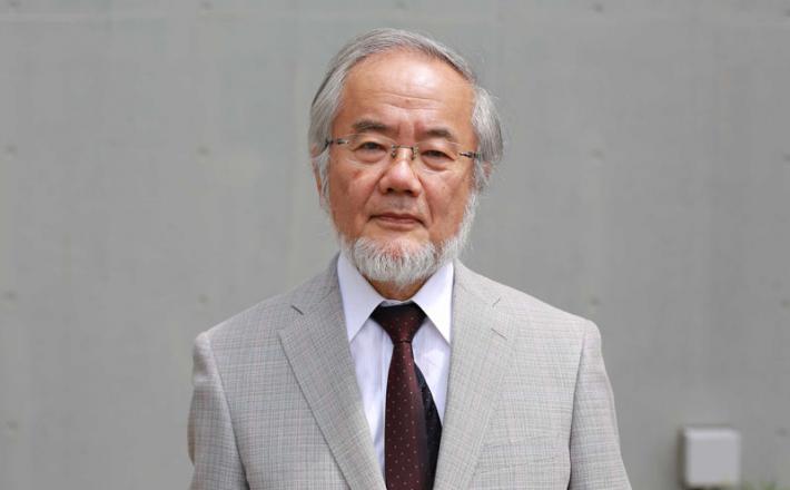 Yoshinori Ohsumi