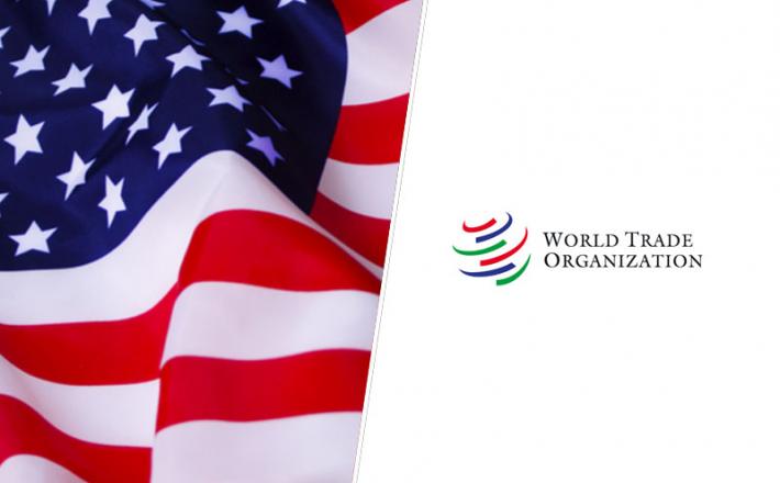 ZDA in WTO