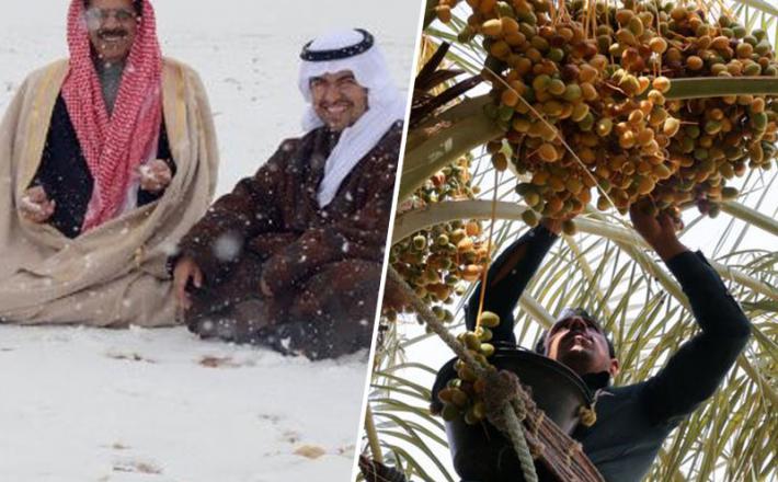 Savdska Arabija med hudo zimo in poletno vročino