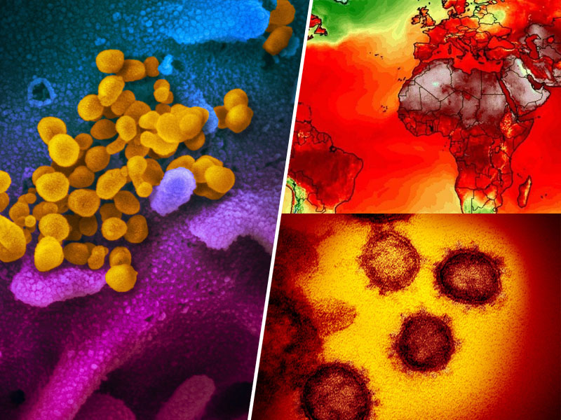 Koronavirus pod mikroskopom - ga lahko ustavi vročina?