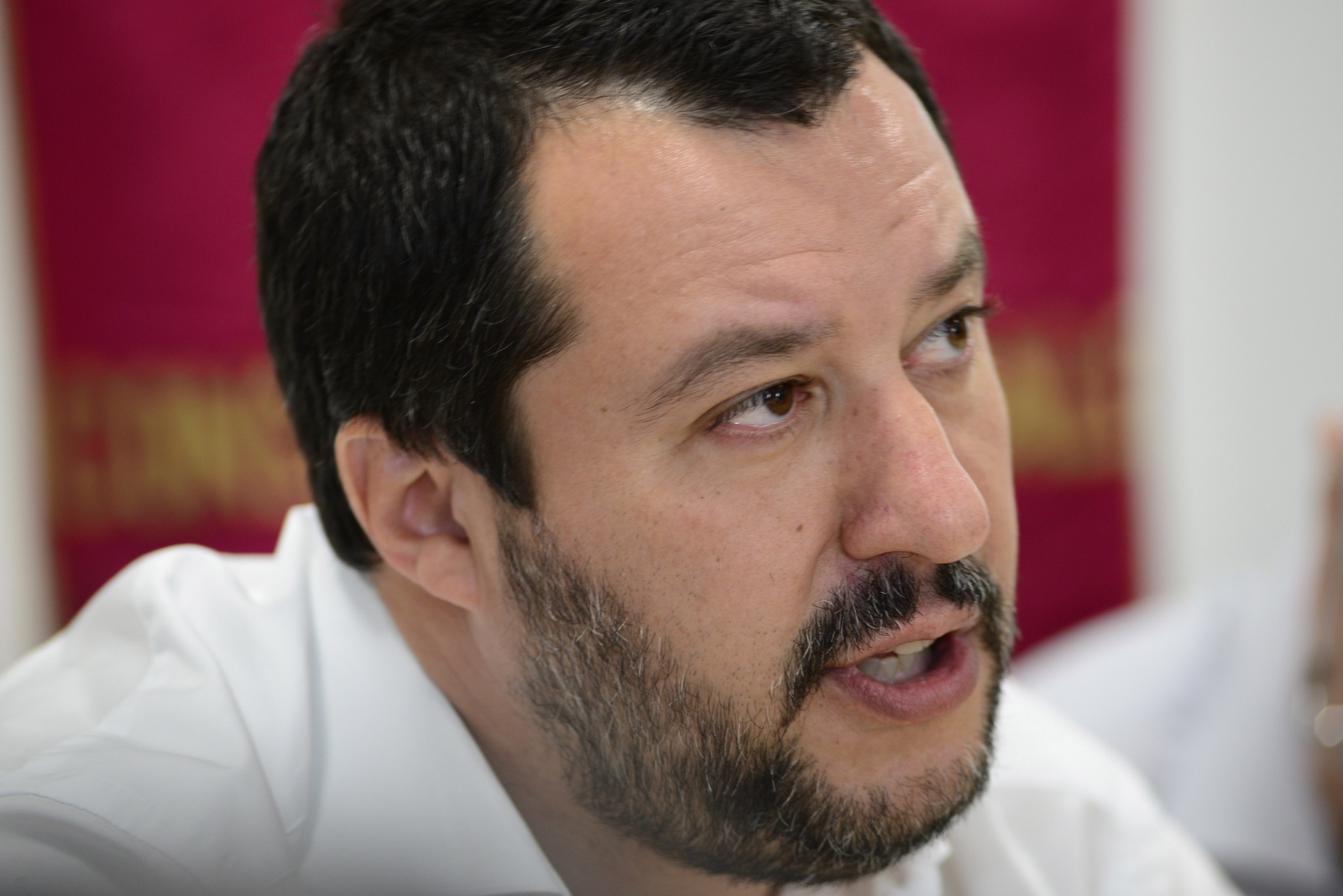 Matteo Salvini Vir:Pixell