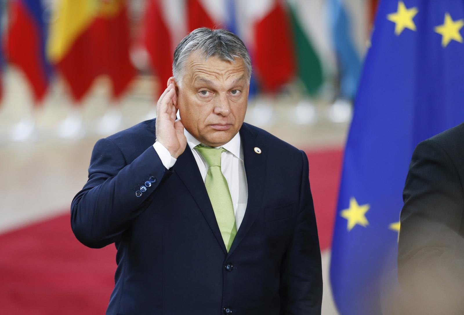 Viktor Orban "posluša"     Vir:Pixell