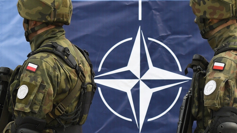 Poljski vojaki v zvezi Nato