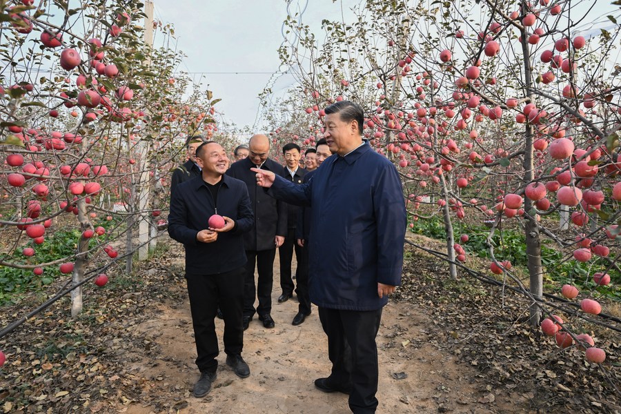 Xi Jinping klepeta z vaščanom v sadovnjaku v vasi Nangou v Yan'anu, severozahodna kitajska provinca Shaanxi, 26. oktober 2022. (Xinhua/Yan Yan)